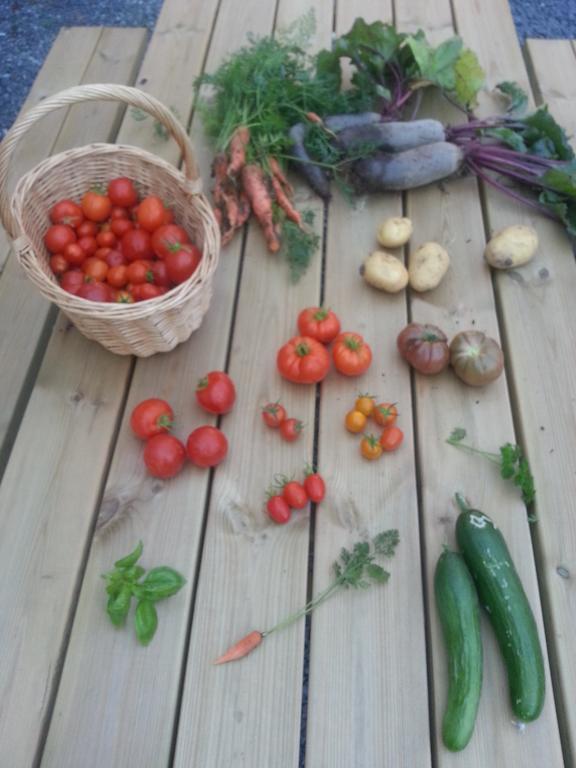 Roskilde B&B Gadstrup Εξωτερικό φωτογραφία