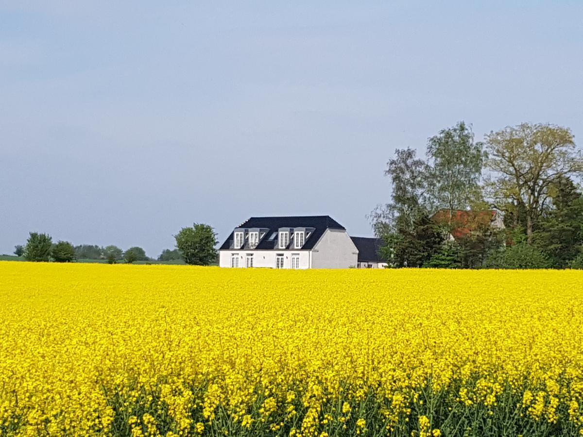 Roskilde B&B Gadstrup Εξωτερικό φωτογραφία