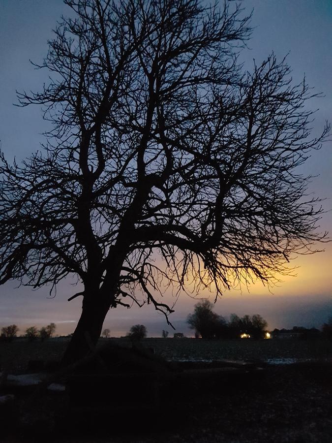 Roskilde B&B Gadstrup Εξωτερικό φωτογραφία